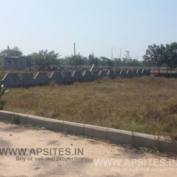 DTCP Residential Plots for sale in Nellore with Bank Loan