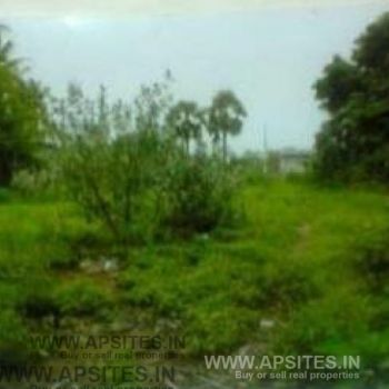Commercial land for sale in Nidadavole
