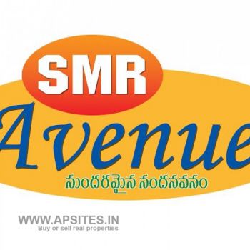 Home PLOTS and BUILDINGS in SMR Avenue