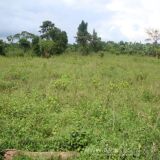 200 sq yd plot for sale at hunter road, warangal