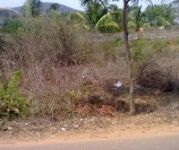 Independent site for sale 265 sqyd s/f from duvvada station 1 km @ rs 6,500 clear title