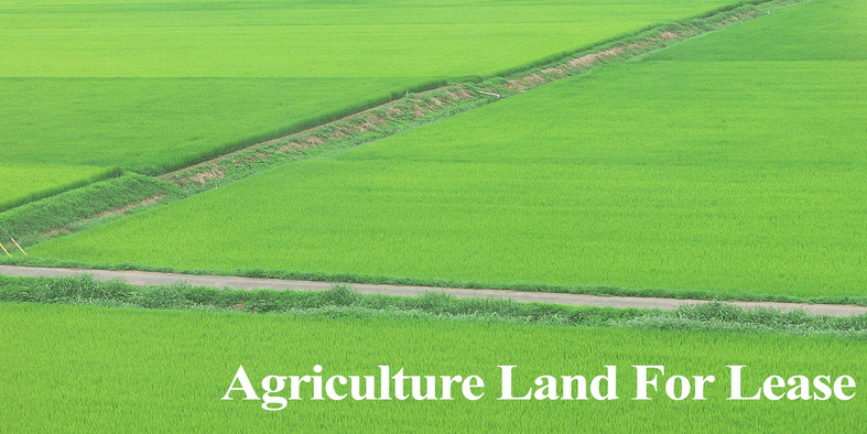 Agriculture Land For Lease